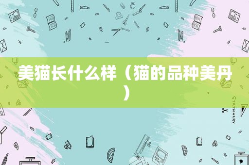 美猫长什么样（猫的品种美丹）