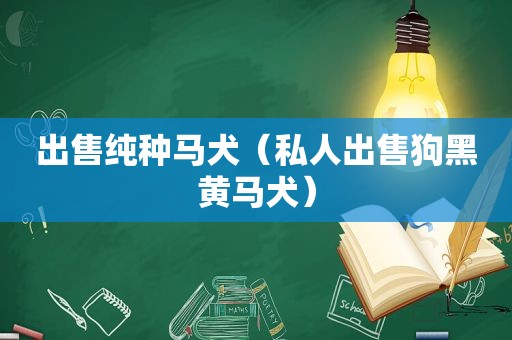 出售纯种马犬（私人出售狗黑黄马犬）