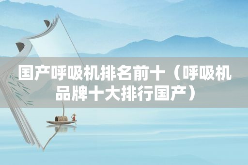 国产呼吸机排名前十（呼吸机品牌十大排行国产）
