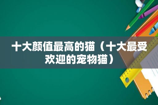 十大颜值最高的猫（十大最受欢迎的宠物猫）