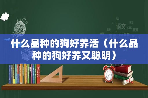 什么品种的狗好养活（什么品种的狗好养又聪明）