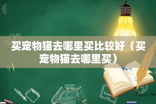 买宠物猫去哪里买比较好（买宠物猫去哪里买）