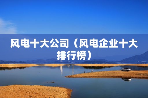 风电十大公司（风电企业十大排行榜）