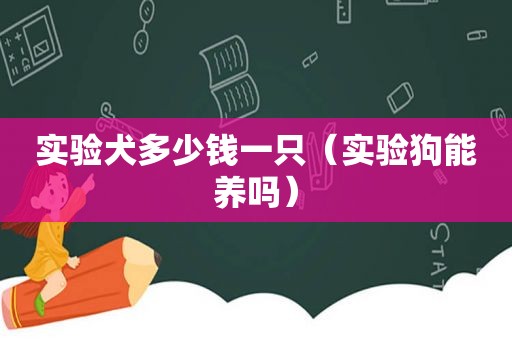 实验犬多少钱一只（实验狗能养吗）