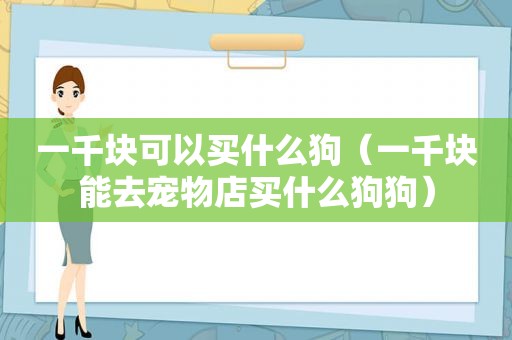 一千块可以买什么狗（一千块能去宠物店买什么狗狗）
