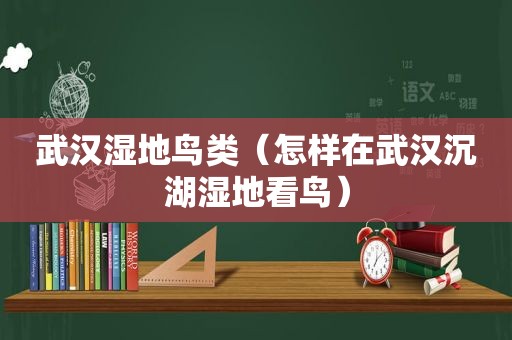 武汉湿地鸟类（怎样在武汉沉湖湿地看鸟）