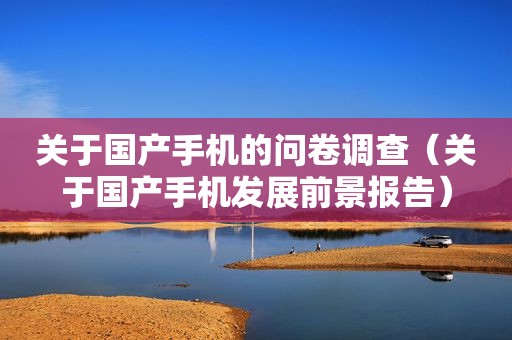关于国产手机的问卷调查（关于国产手机发展前景报告）