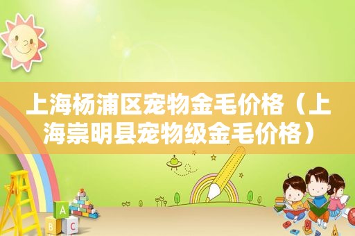 上海杨浦区宠物金毛价格（上海崇明县宠物级金毛价格）