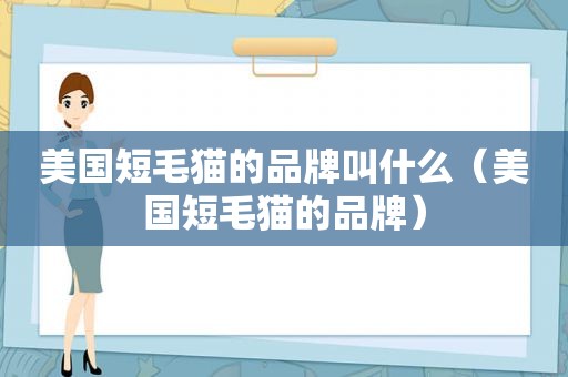 美国短毛猫的品牌叫什么（美国短毛猫的品牌）