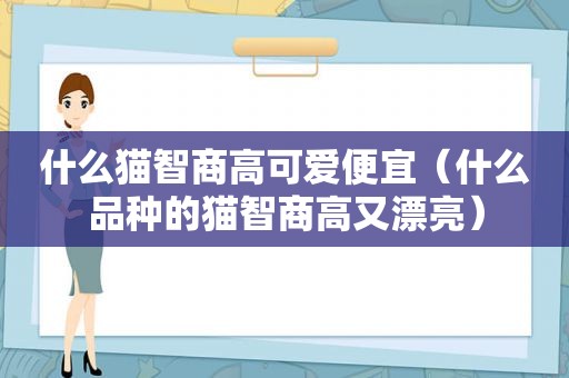 什么猫智商高可爱便宜（什么品种的猫智商高又漂亮）