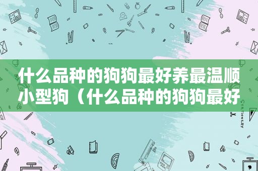 什么品种的狗狗最好养最温顺小型狗（什么品种的狗狗最好养最温顺小型）