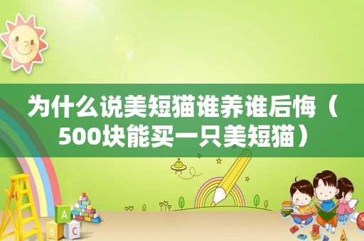 为什么说美短猫谁养谁后悔（500块能买一只美短猫）