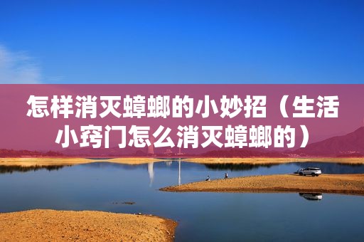 怎样消灭蟑螂的小妙招（生活小窍门怎么消灭蟑螂的）