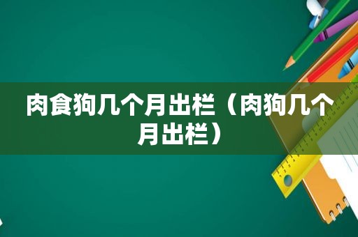 肉食狗几个月出栏（肉狗几个月出栏）