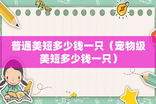 普通美短多少钱一只（宠物级美短多少钱一只）