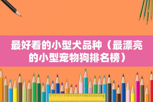 最好看的小型犬品种（最漂亮的小型宠物狗排名榜）