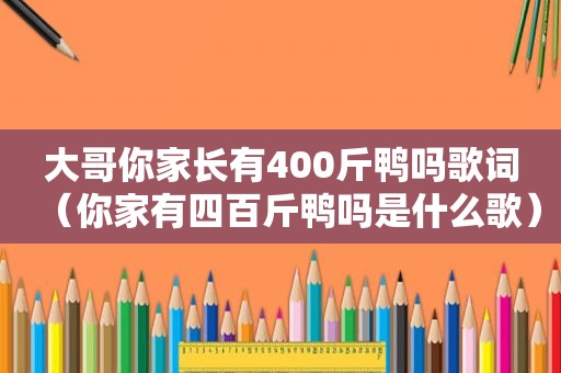 大哥你家长有400斤鸭吗歌词（你家有四百斤鸭吗是什么歌）