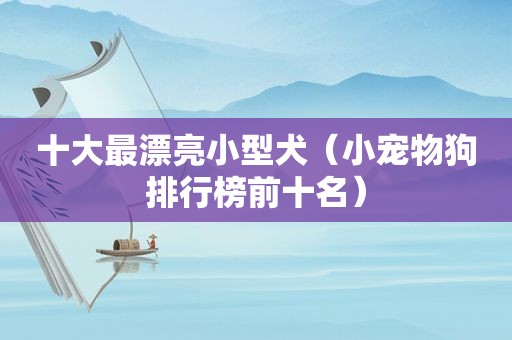 十大最漂亮小型犬（小宠物狗排行榜前十名）