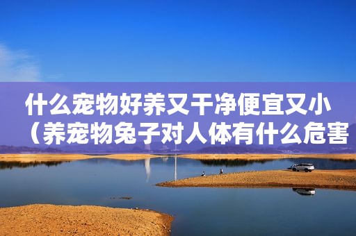 什么宠物好养又干净便宜又小（养宠物兔子对人体有什么危害）