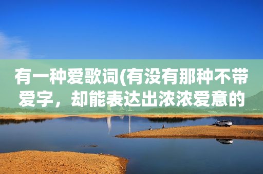 有一种爱歌词(有没有那种不带爱字，却能表达出浓浓爱意的文案)