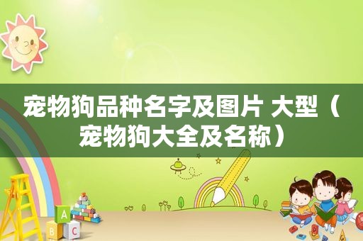 宠物狗品种名字及图片 大型（宠物狗大全及名称）
