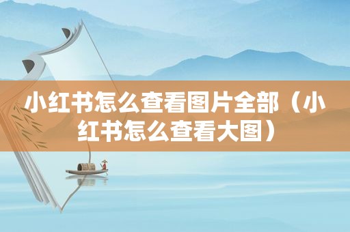 小红书怎么查看图片全部（小红书怎么查看大图）