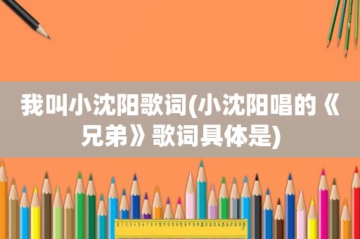 我叫小沈阳歌词(小沈阳唱的《兄弟》歌词具体是)