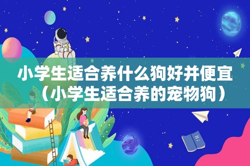 小学生适合养什么狗好并便宜（小学生适合养的宠物狗）