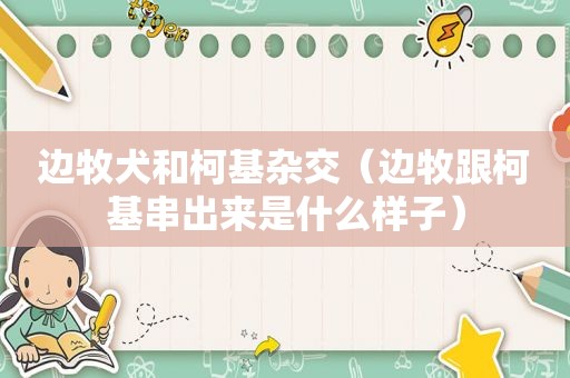 边牧犬和柯基杂交（边牧跟柯基串出来是什么样子）