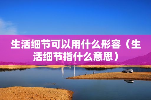 生活细节可以用什么形容（生活细节指什么意思）