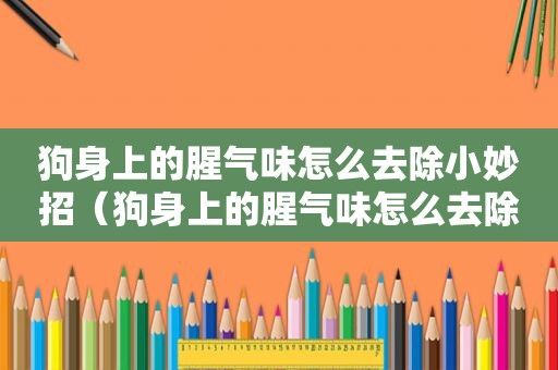 狗身上的腥气味怎么去除小妙招（狗身上的腥气味怎么去除）