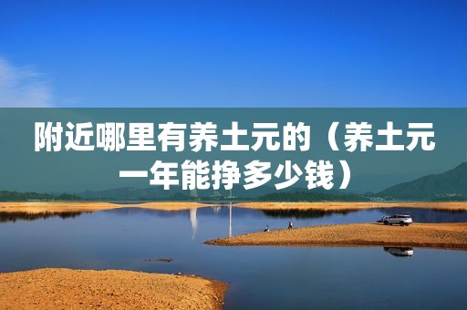 附近哪里有养土元的（养土元一年能挣多少钱）
