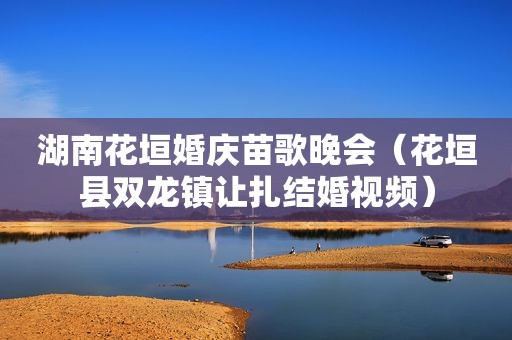 湖南花垣婚庆苗歌晚会（花垣县双龙镇让扎结婚视频）