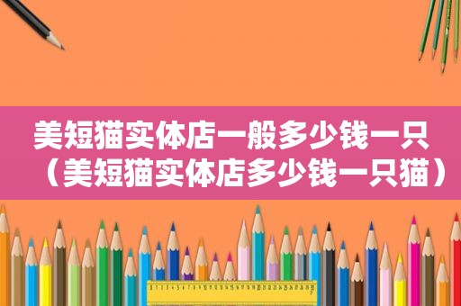 美短猫实体店一般多少钱一只（美短猫实体店多少钱一只猫）