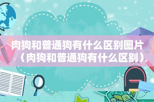 肉狗和普通狗有什么区别图片（肉狗和普通狗有什么区别）