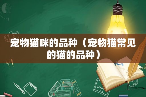 宠物猫咪的品种（宠物猫常见的猫的品种）