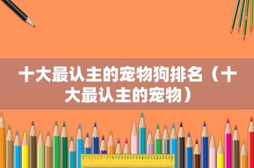 十大最认主的宠物狗排名（十大最认主的宠物）
