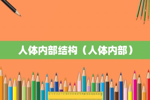 人体内部结构（人体内部）