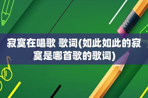 寂寞在唱歌 歌词(如此如此的寂寞是哪首歌的歌词)