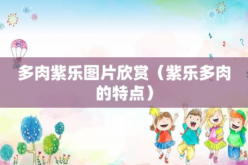 多肉紫乐图片欣赏（紫乐多肉的特点）