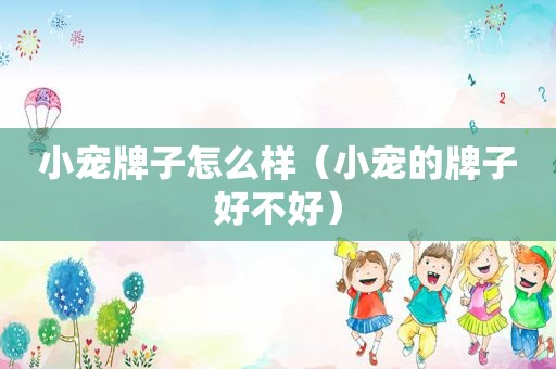 小宠牌子怎么样（小宠的牌子好不好）