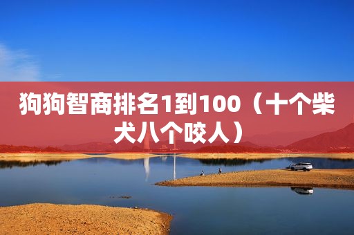狗狗智商排名1到100（十个柴犬八个咬人）