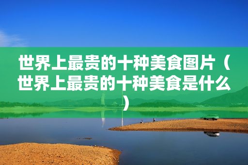 世界上最贵的十种美食图片（世界上最贵的十种美食是什么）