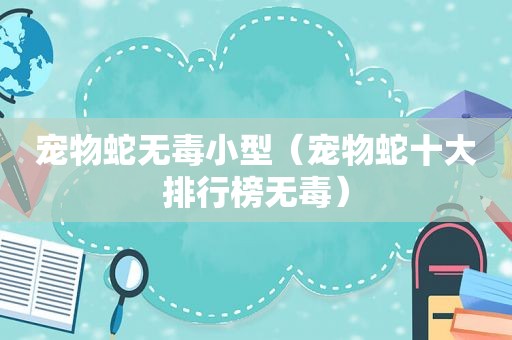 宠物蛇无毒小型（宠物蛇十大排行榜无毒）