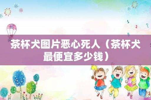 茶杯犬图片恶心死人（茶杯犬最便宜多少钱）