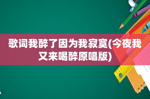 歌词我醉了因为我寂寞(今夜我又来喝醉原唱版)
