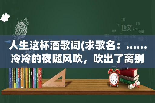 人生这杯酒歌词(求歌名：……冷冷的夜随风吹，吹出了离别的滋味……人生这杯酒怎么喝都是醉)