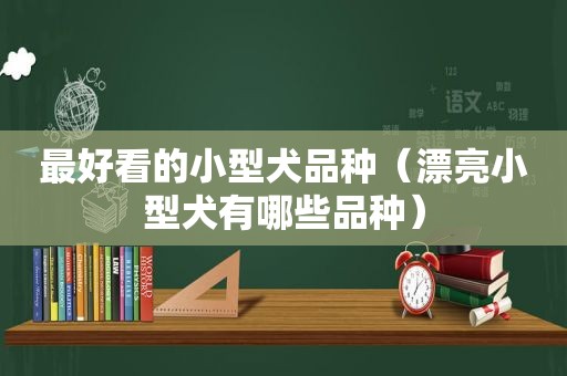 最好看的小型犬品种（漂亮小型犬有哪些品种）