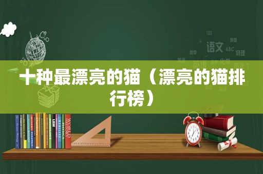 十种最漂亮的猫（漂亮的猫排行榜）