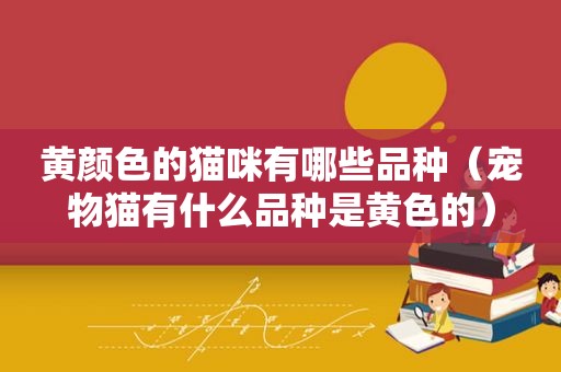 黄颜色的猫咪有哪些品种（宠物猫有什么品种是黄色的）